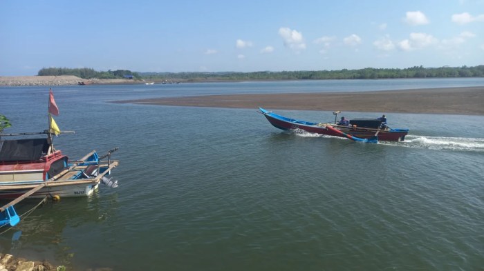 Daun penggemuk ayam di Mepanga, Paringi Moutong