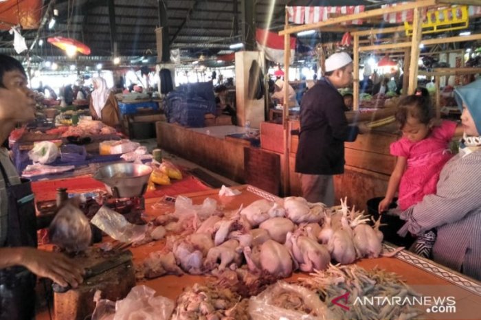 Harga ayam kampung potong di Jatisampurna, Kota Bekasi