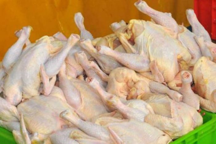 Ayam Ternak di Pasean, Pamekasan
