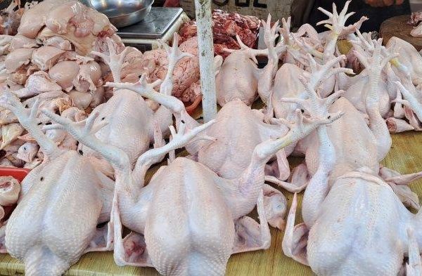 Jelang Akhir Tahun 2023, Harga Ayam Potong di Pasar Ciputat Melonjak ...