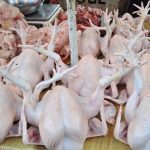 Harga ayam kampung potong di Cimaung, Bandung