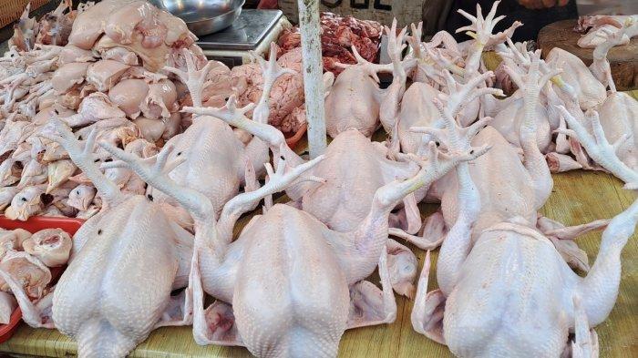 Harga ayam kampung potong di Cimaung, Bandung