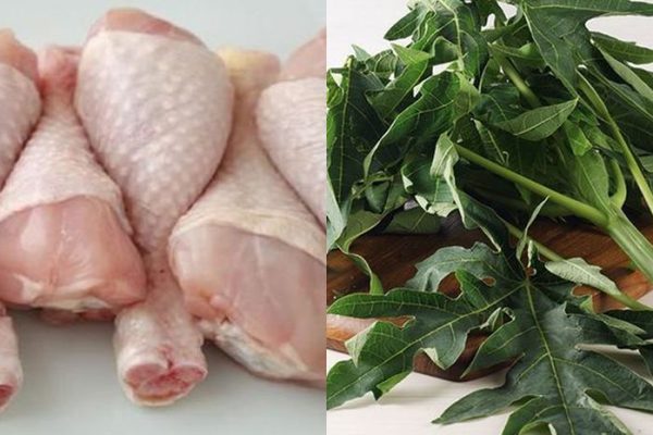 Daun penggemuk ayam di Lilirilau, Soppeng