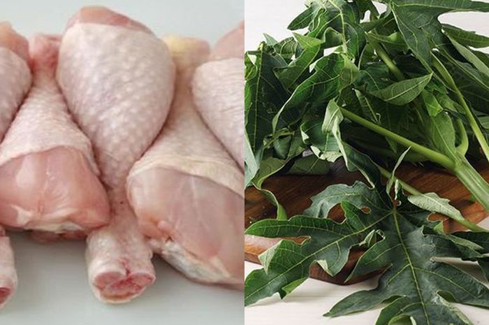 Daun penggemuk ayam di Lilirilau, Soppeng