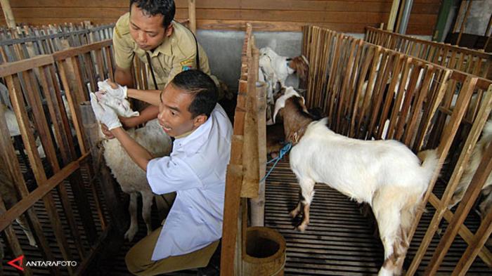 Brongkos Daging Alun-Alun Sukorejo Daging kambing di Sukorejo, Kendal