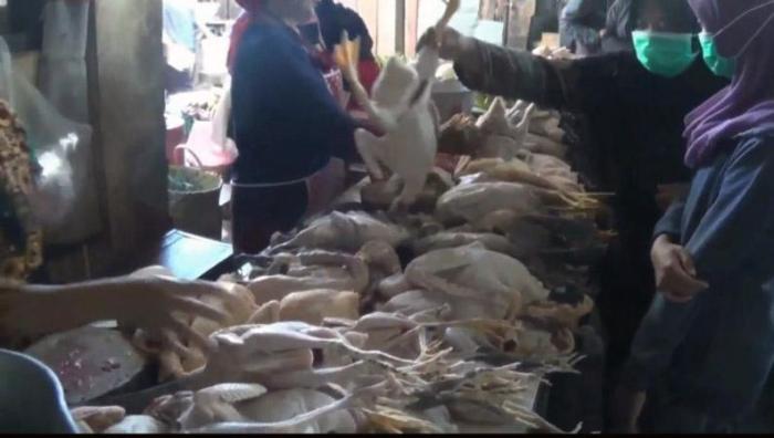 Harga ayam kampung potong di Maleber, Kuningan