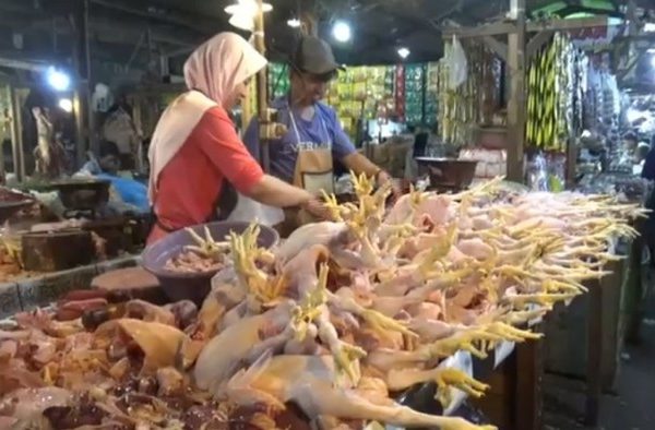 Ayam afkir di Campaka, Purwakarta
