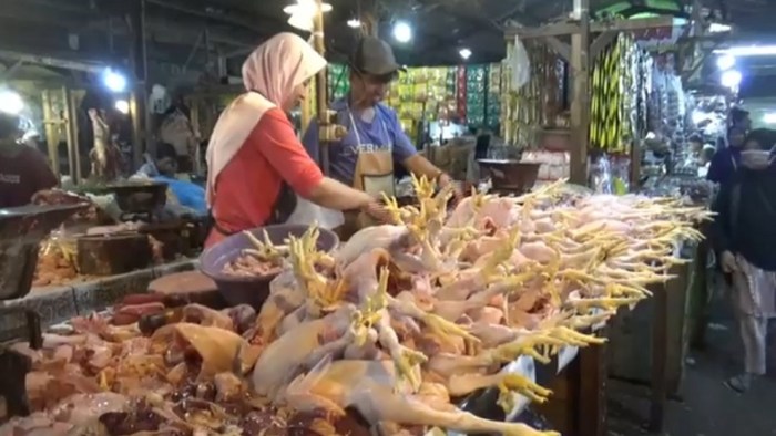 Ayam afkir di Campaka, Purwakarta