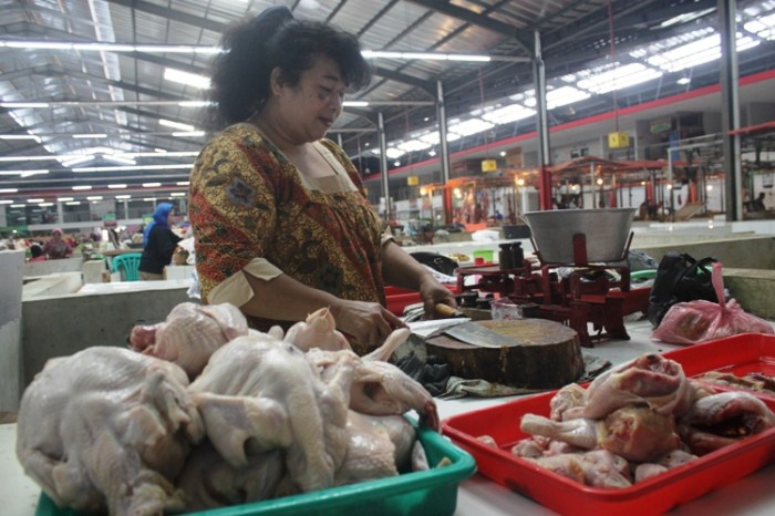 Afkir ayam broiler - YouTube