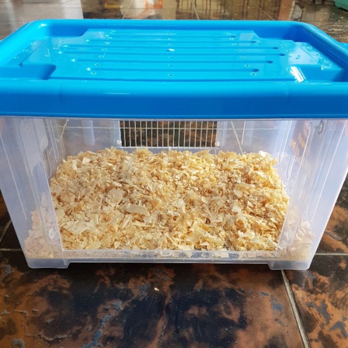Jual kontainer box modif akrilik kandang hamster landak mini reptil 30L ... Kandang reptil, hamster, gecko, landak Travel Box