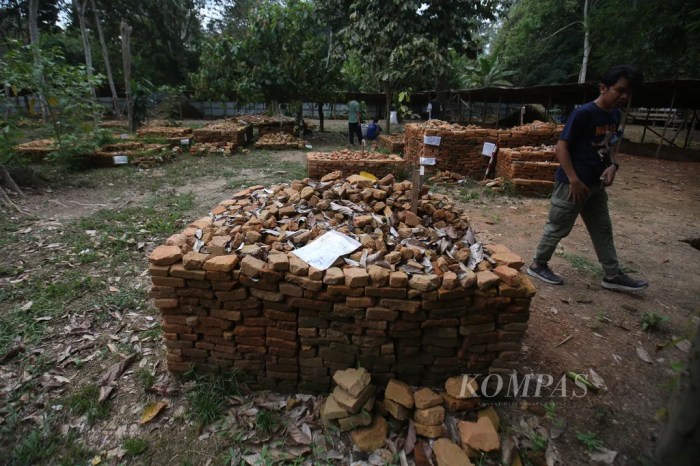 Ayam layer di Maro Sebo, Kabupaten Muaro Jambi