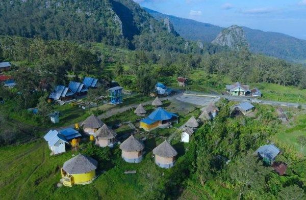 Daun penggemuk ayam di Fatumnasi, Timor Tengah Selatan