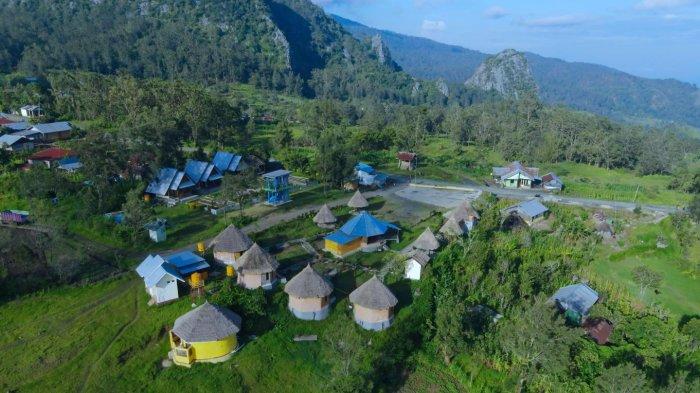 Mengenal Desa Wisata Fatumnasi di Timor Tengah Selatan NTT, Tembus 50 ... Daun penggemuk ayam di Fatumnasi, Timor Tengah Selatan