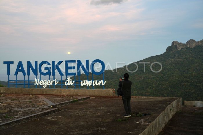 Jual SUPER GEMUK AYAM 1 PAK 30 SACHET 10 GRAM RAID-ALL VITAMIN OBAT ... Daun penggemuk ayam di Kabaena, Bombana