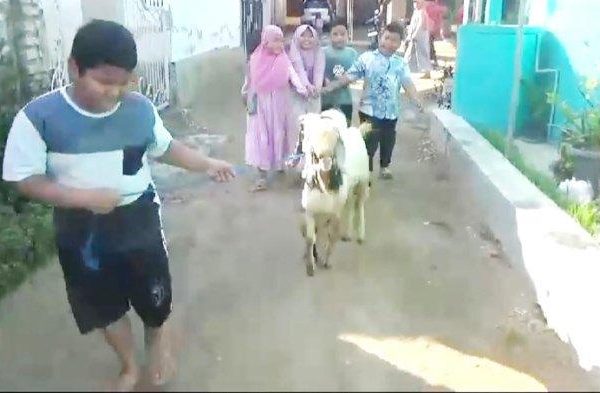 Daging kambing di Kab. Bangkalan, Bangkalan