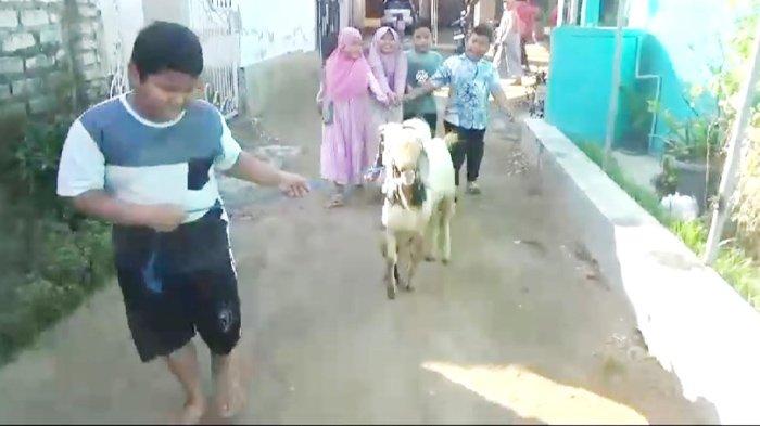 Daging kambing di Kab. Bangkalan, Bangkalan