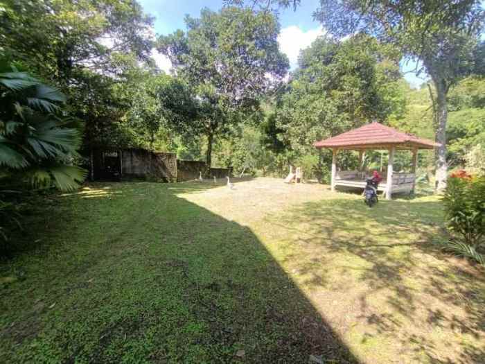 Daging kambing di Tajur Halang, Bogor