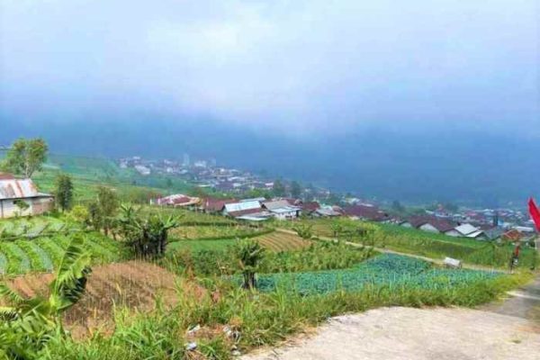 Daging kambing di Tawangmangu, Karanganyar