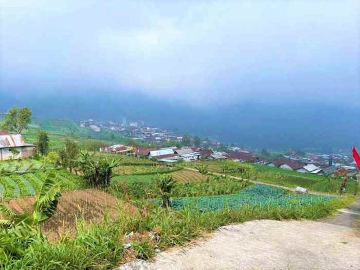 Daging kambing di Tawangmangu, Karanganyar