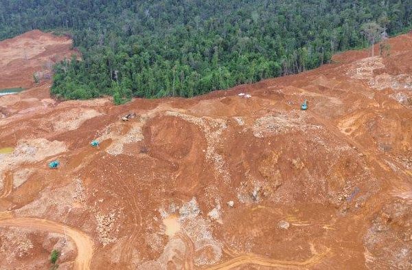 Daun penggemuk ayam di Lasolo Kepulauan, Konawe Utara