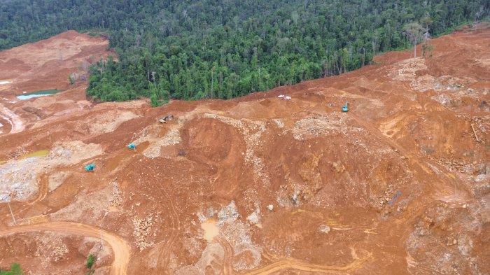 Daun penggemuk ayam di Lasolo Kepulauan, Konawe Utara