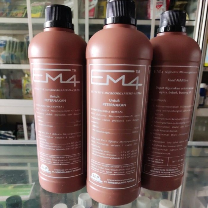 Em4 peternakan ayam di Singkut, Kabupaten Sarolangun