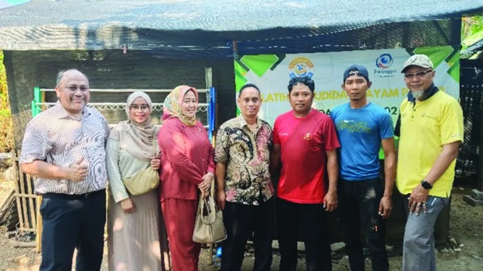 Wujudkan Kemandirian dalam Tanggulangi Pengangguran, Pemuda Desa Bojong ... Budidaya ayam di Pesisir Tengah, Pesisir Barat