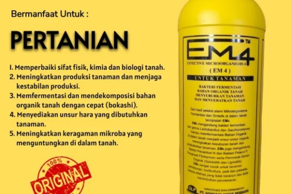 Em4 peternakan ayam di Sungaipenuh, Kota Sungai Penuh