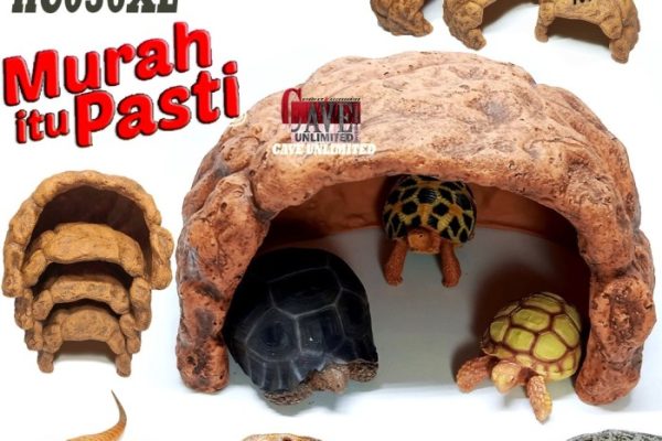 Kandang gecko/kandang reptile plus hiding cave ukuran 40*20*15cm