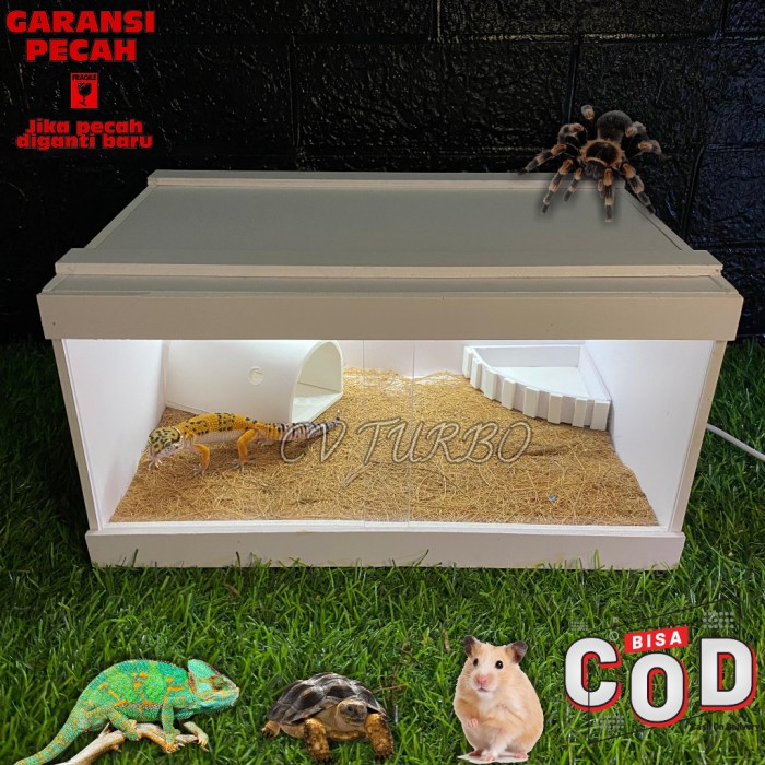 Jual 1 SET KANDANG REPTIL/TERARIUM REPTIL ESTETIK PVC cocok untuk ... Kandang Gecko Plus Hiding Cave / Kandang Akrilik Reptil / Terrarium Mini / Enclosure - TR30
