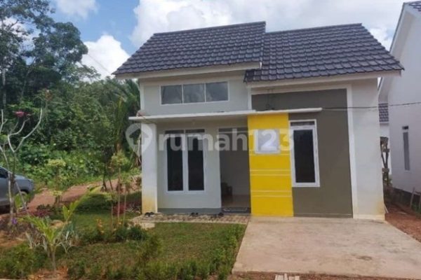 Daun penggemuk ayam di Jelimpo, Landak