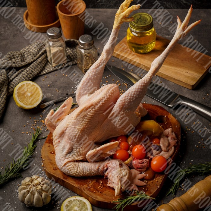 Ayam merah petelur di Kartasura, Sukoharjo