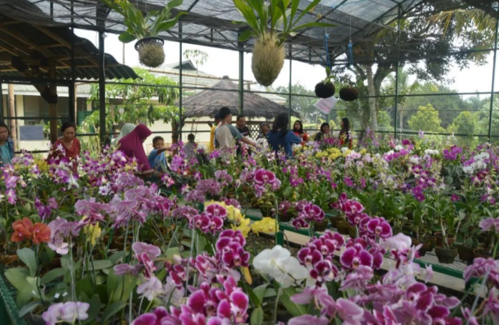 Daging kambing di Kaliwates, Jember