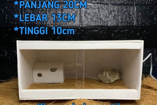 Jual TERARIUM REPTIL/KANDANG REPTIL MINI PVC cocok untuk kandang ...