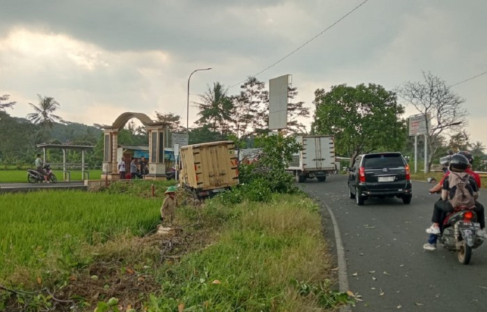 Jelang Lebaran Penjual Ayam Afkir Bermunculan di Belitung, Harga Ayam ...