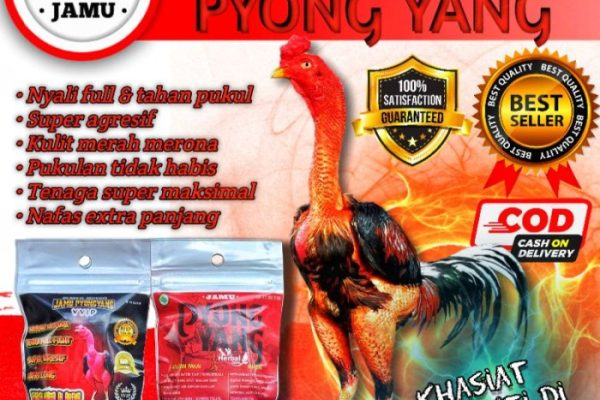 Daun penggemuk ayam di Asolokobal, Kab. Jayawijaya