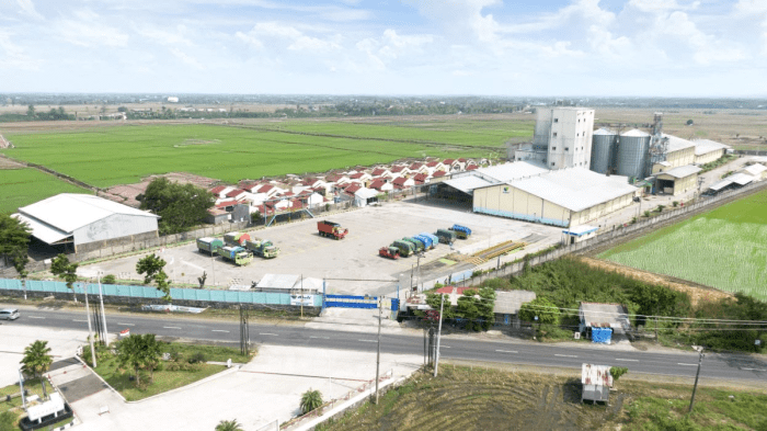 Ayam ternak di Purwodadi, Grobogan