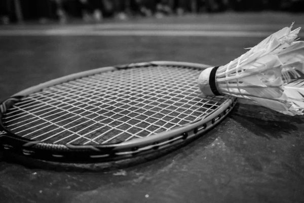 Bulu kelinci di Tiwu, Kolaka Utara