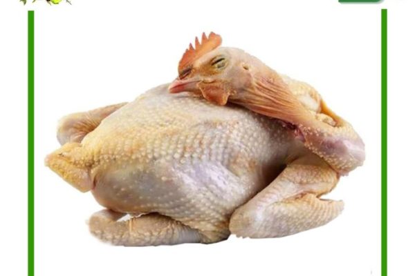 Jual Ayam Kampung Potong Dadakan Utuh Segar - Gerai Sayur Ayam Segar ...