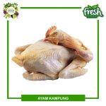Harga ayam kampung potong di Kedondong, Pesawaran