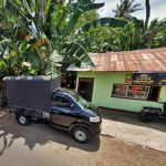 Ternak ayam petelur di Ile Mandiri, Flores Timur