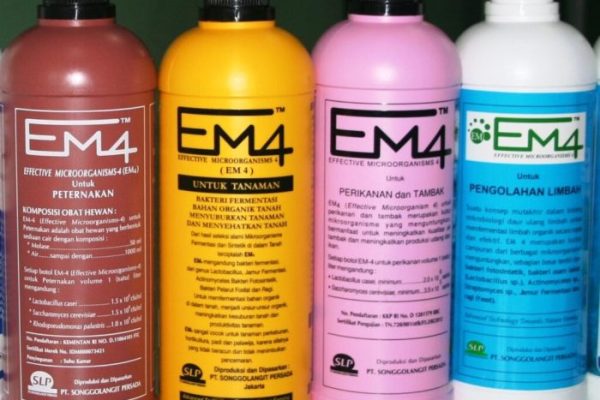 Em4 peternakan ayam di Jambi Timur, Kota Jambi