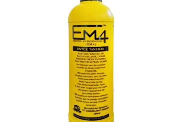 Em4 peternakan ayam di Dumai Timur, Kota Dumai