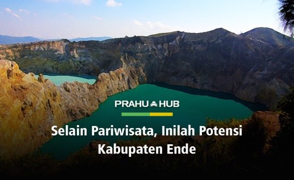 Daun penggemuk ayam di Ende, Kabupaten Ende
