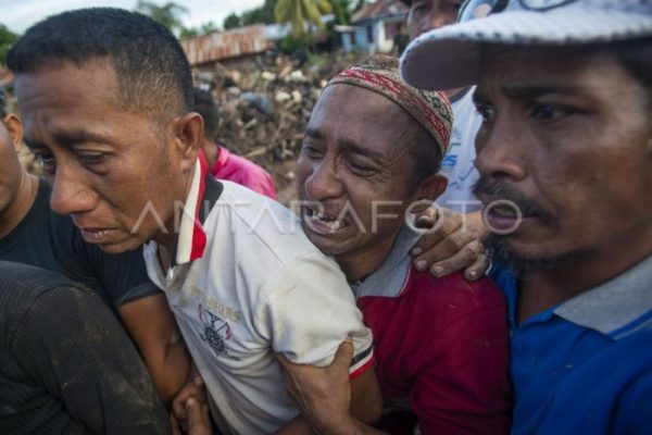 Daun penggemuk ayam di Adonara Timur, Flores Timur