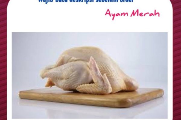 Ayam afkir di Tanjungmedar, Sumedang