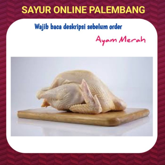 Jual Ayam Petelur/Afkir Per Ekor - Pasar Toko Sayur Ayam Segar Online ...