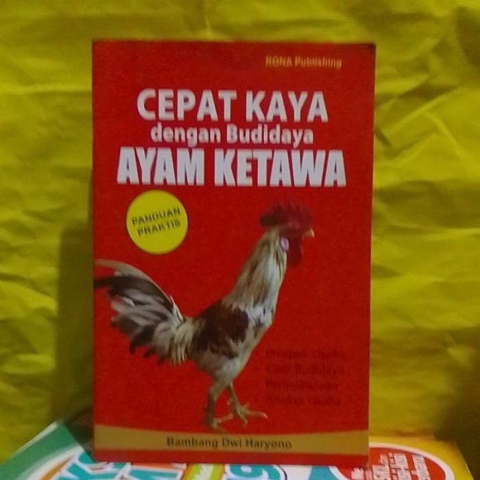 8 Cara Budidaya Ayam Kampung Modal Kecil, Untuk Pemula 8 Cara Budidaya Ayam Kampung Modal Kecil, Untuk Pemula