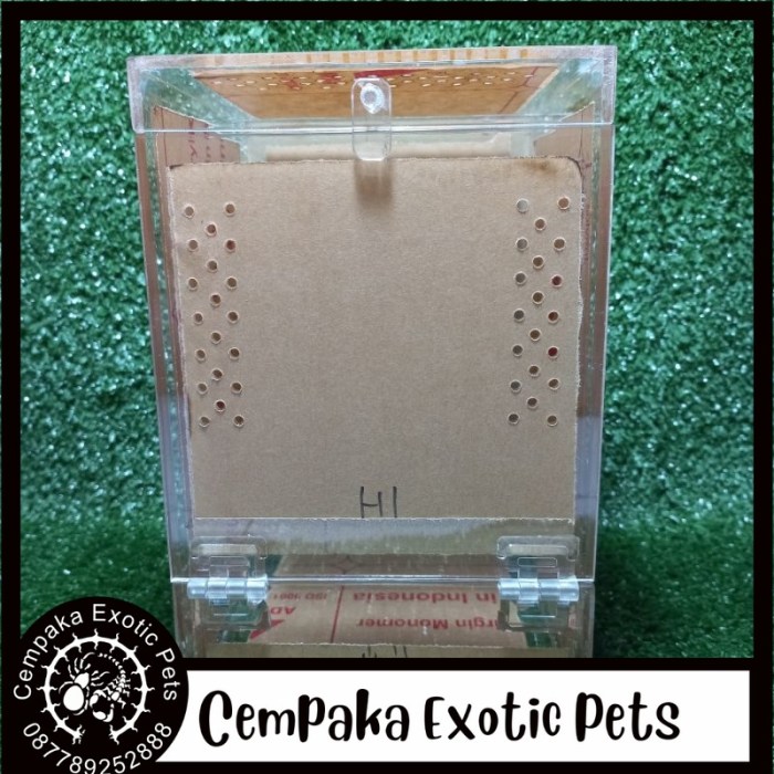 Kotak reptil/kandang reptil akrilik