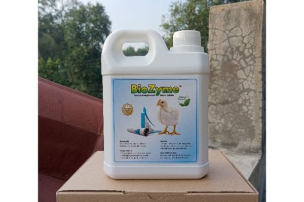 Daun penggemuk ayam di Kwesefo, Kab. Tambrauw